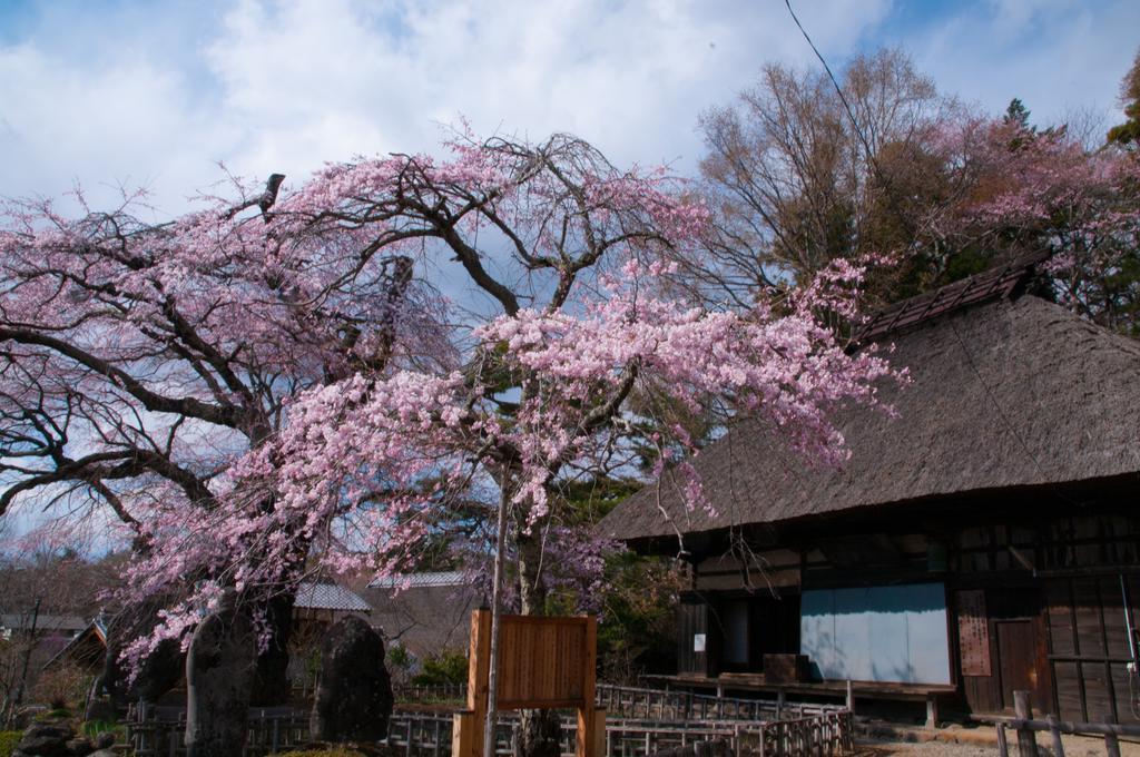 托姆布克图山林小屋 富士见町 外观 照片